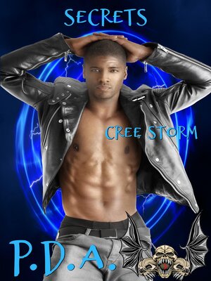 cover image of Secrets P.D.A. 3